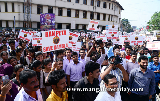 stuents  protest against Kambla ban in Mangalore